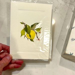 Vintage PINEIDER 25 notecards and envelopes New In Box